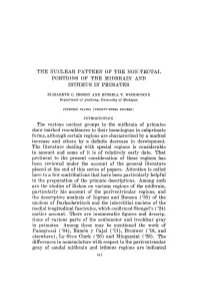 The Nuclear Pattern of the Non-Tectal Portions of the Midbrain and Isthmus in Primates
