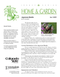AEXT Ucsu2062256012007.Pdf (677.1Kb)