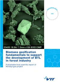 Biomass Gasification Fundamentals to Support the Development of BTL in Forest Industry"