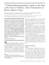 Likely Visualization of Brown Adipose Tissue
