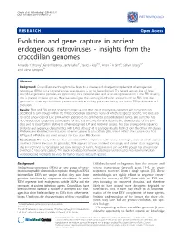 Evolution and Gene Capture in Ancient Endogenous Retroviruses