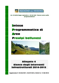 Intesa Programmatica Di Area Prealpi Bellunesi