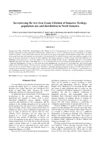 Inventorying the Tree Fern Genus Cibotium of Sumatra: Ecology, Population Size and Distribution in North Sumatra
