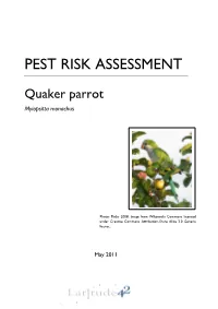 Pest Risk Assessment