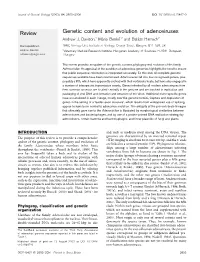 Genetic Content and Evolution of Adenoviruses Andrew J