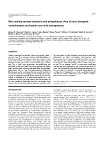 Mice Lacking Tartrate-Resistant Acid Phosphatase (Acp 5) Have Disrupted Endochondral Ossiﬁcation and Mild Osteopetrosis