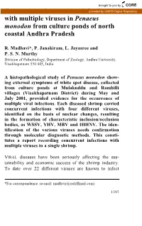 Occurrence of Concurrent Infections with Multiple Viruses In