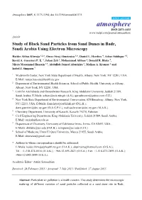 Study of Black Sand Particles from Sand Dunes in Badr, Saudi Arabia Using Electron Microscopy