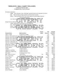 TREES (PATIO - SMALL CANOPY for ACCENT) in Stock Or Special Order Availability May Vary by Season