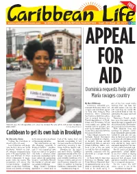 Caribbean to Get Its Own Hub in Brooklyn the Island of 72,000