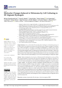 Molecular Changes Induced in Melanoma by Cell Culturing in 3D Alginate Hydrogels