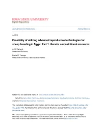 Feasibility of Utilizing Advanced Reproductive Technologies for Sheep Breeding in Egypt