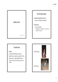 Modern Birds Classification System Tinamiformes