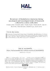 Recurrence of Stachybotrys Chartarum During Mycological And