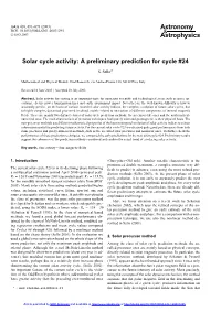 Solar Cycle Activity: a Preliminary Prediction for Cycle \#24