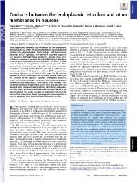 Contacts Between the Endoplasmic Reticulum and Other Membranes In