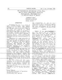 Djvu Document