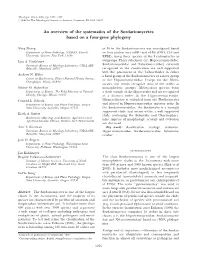 An Overview of the Systematics of the Sordariomycetes Based on a Four-Gene Phylogeny