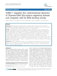 SUMO-1 Regulates the Conformational Dynamics of Thymine-DNA