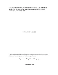 Loanword Adaptation in Boro-Ukwala Dialect of Dholuo: a Case of Borrowing from Lumarachi, Lunyala and Kiswahili