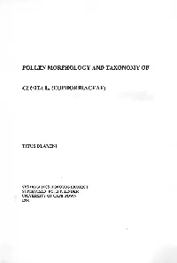 Pollen Morphology and Taxonomy of Clutia L. (Euphorbiaceae)