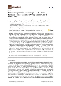Selective Synthesis of Furfuryl Alcohol from Biomass-Derived Furfural Using Immobilized Yeast Cells