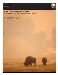 A Test of Adversity and Strength: Wildland Fire in the National Park System