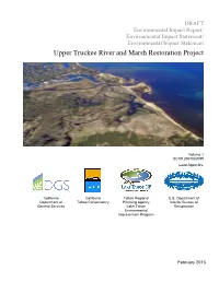 Upper Truckee River and Marsh Restoration Project