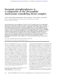 Inorganic Pyrophosphatase Is a Component of the Drosophila Nucleosome Remodeling Factor Complex