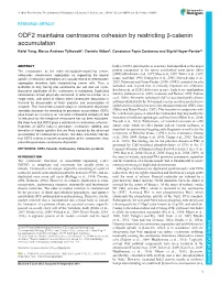 ODF2 Maintains Centrosome Cohesion by Restricting Β-Catenin Accumulation
