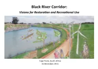 Black River Corridor: Visions for Restoration and Recreational Use