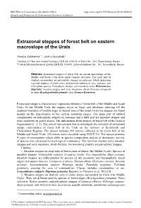 Extrazonal Steppes of Forest Belt on Eastern Macroslope of the Urals