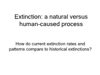Natural Extinctions: Rates and Processes