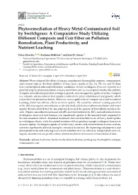Phytoremediation of Heavy Metal-Contaminated Soil By