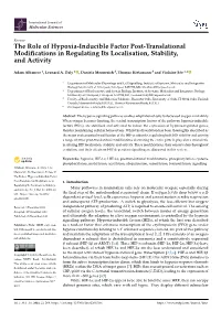The Role of Hypoxia-Inducible Factor Post-Translational Modifications In