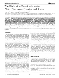 The Worldwide Variation in Avian Clutch Size Across Species and Space