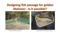 Designing Fish Passage for Golden Mahseer : Is It Possible?