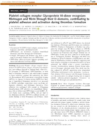 Platelet Collagen Receptor Glycoprotein VI&#X2010;Dimer Recognizes Fibrinogen and Fibrin Through Their D&#X2010