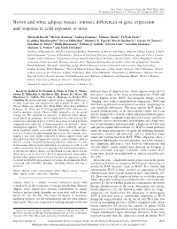 Brown and White Adipose Tissues: Intrinsic Differences in Gene Expression and Response to Cold Exposure in Mice