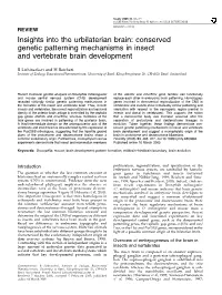 Conserved Genetic Patterning Mechanisms in Insect and Vertebrate Brain Development