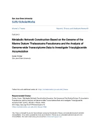 Metabolic Network Construction Based on the Genome of The