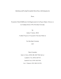 Thesis Formatted