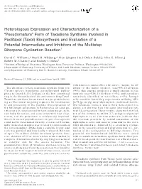 Form of Taxadiene Synthase Involved in Paclitaxel