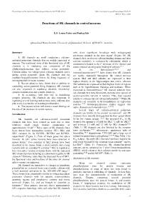 Functions of SK Channels in Central Neurons