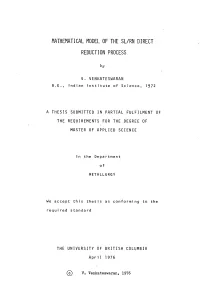 Mathematical Model of the Sl/Rn Direct Reduction