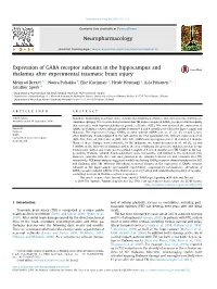 Expression of GABA Receptor Subunits in the Hippocampus and Thalamus After Experimental Traumatic Brain Injury