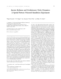 Species Richness and Evolutionary Niche Dynamics: a Spatial Pattern–Oriented Simulation Experiment