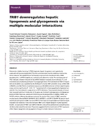 TRIB1 Downregulates Hepatic Lipogenesis and Glycogenesis Via Multiple Molecular Interactions