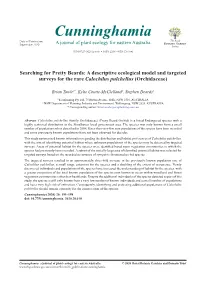A Descriptive Ecological Model and Targeted Surveys for the Rare Calochilus Pulchellus (Orchidaceae)