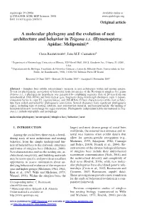 A Molecular Phylogeny and the Evolution of Nest Architecture and Behavior in Trigona S.S